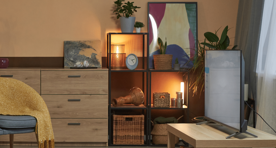 Warm lamp-lit shelving unit with plants and books in a living room after dark