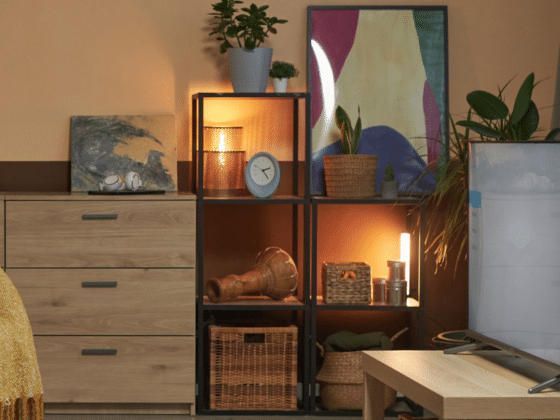 Warm lamp-lit shelving unit with plants and books in a living room after dark